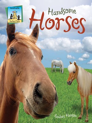 cover image of Handsome Horses